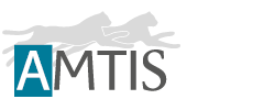 AMTIS (AUGE MICROTECHNIC GROUP)