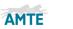 AMTE (AUGE MICROTECHNIC GROUP)